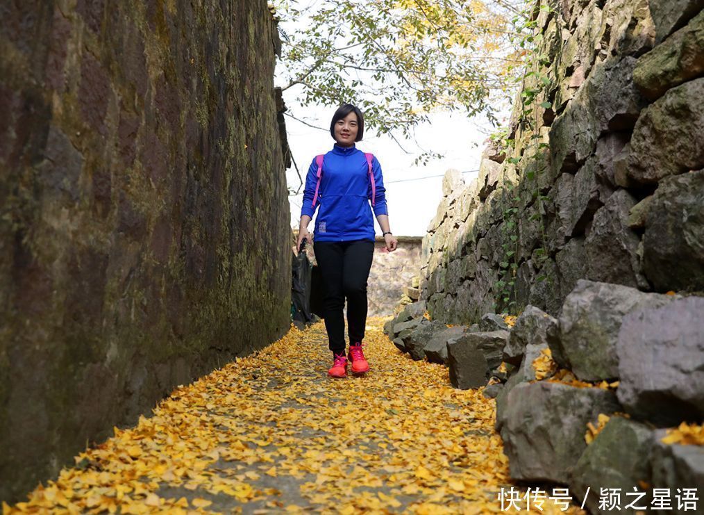 四明山赏秋胜地，茅镬秋色，至今游历25次