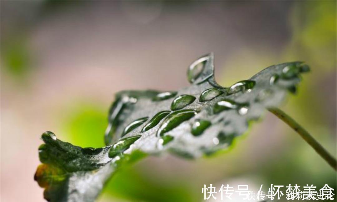 雨夜@宋朝诗人张咏这首七绝《雨夜》,同样写得很孤独,道尽了思乡之苦