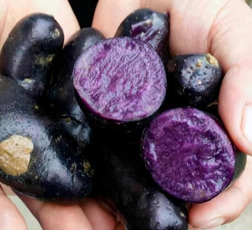 马铃薯|人到中年想长寿,坚持吃3种养生食物,调养脾胃、安神健脑