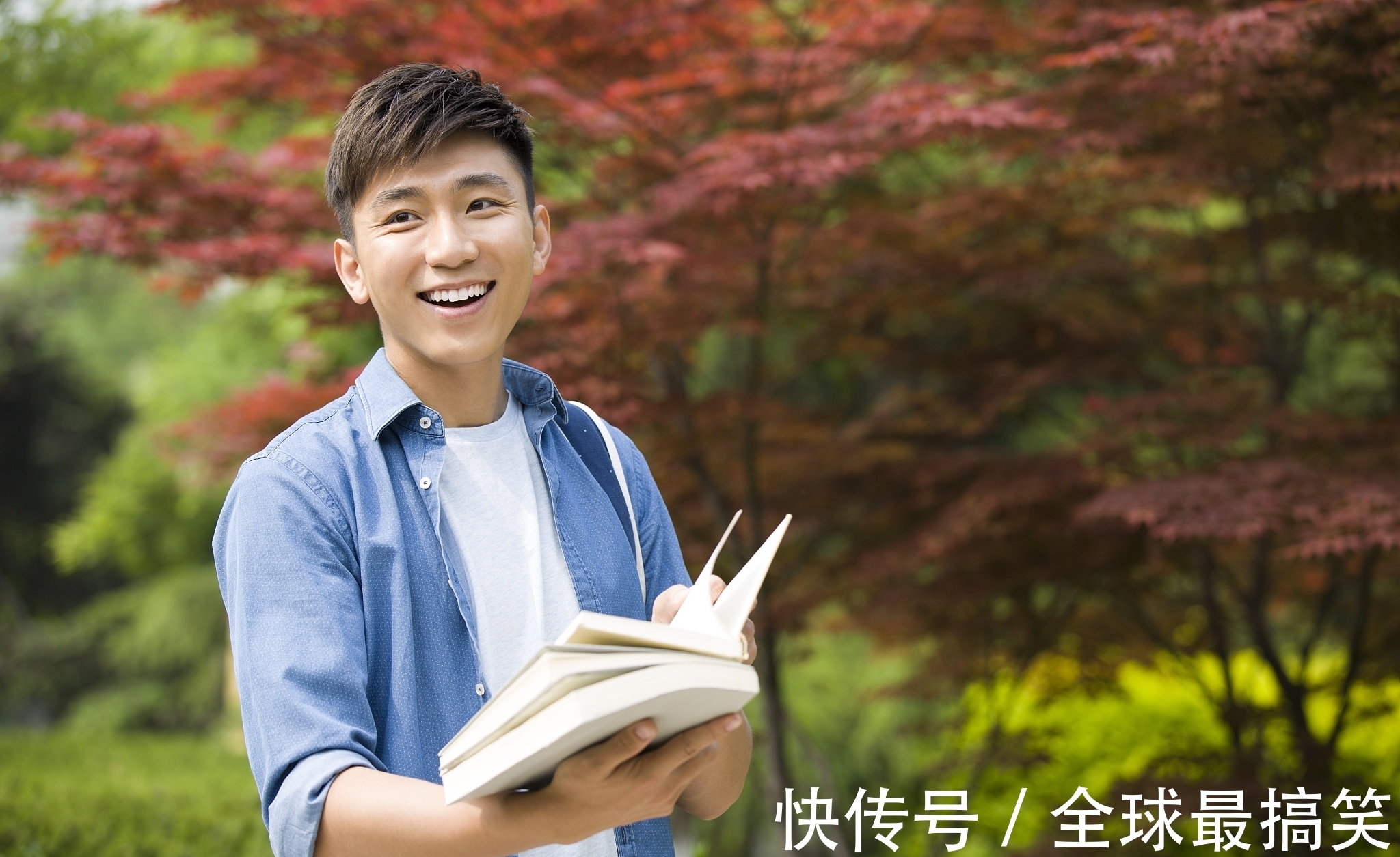 庞凤山#白岩松:读书,就是为读书而读书