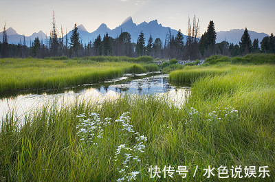 生肖|算命的说这三大生肖，最容易孤独终老，错过一生最爱