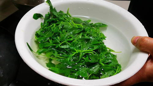 特香|这菜浑身都是宝，可惜很多人当草，经常上火多吃点，拌一拌特香！