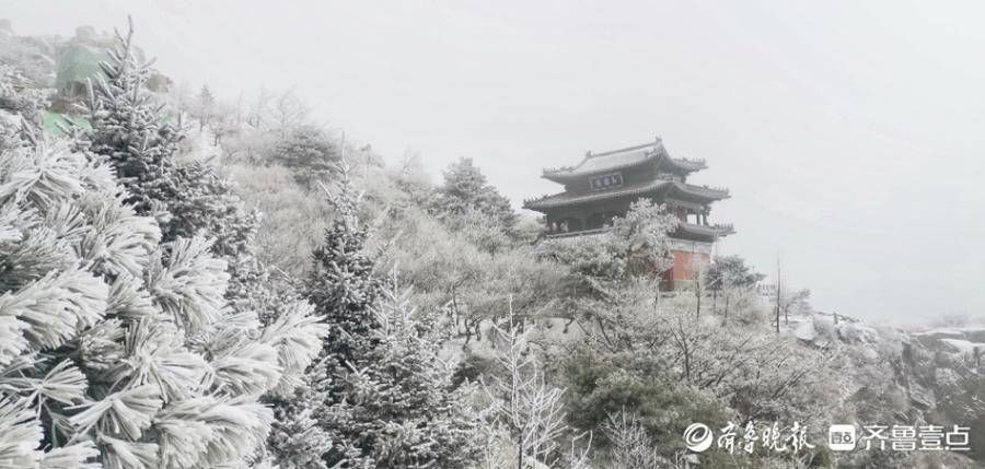 岱顶|壹图集丨腊八泰山迎瑞雪，岱顶秒变“琼楼玉宇”