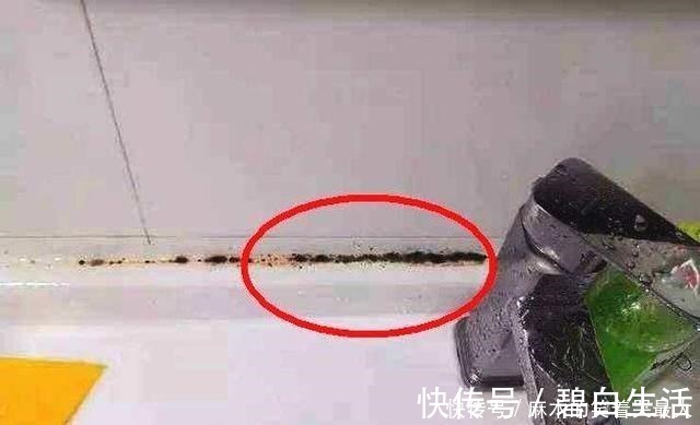 花洒|去小姨家住一晚，一进厨房就不想走了！布置太新潮了，给大家晒晒！