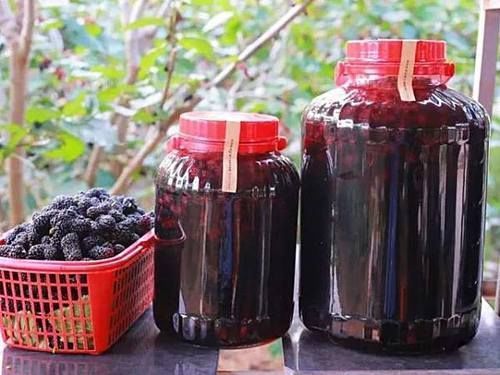 采摘|这种没皮没核的野果,古人称它为“肾之果”,5月错过它太可惜