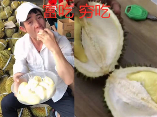 猪狗不如|富吃VS穷吃,忍了冰激凌,忍了泡面,看见车厘子猪狗不如