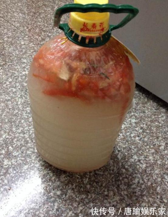 橘子皮不要扔，用来养花，除异味补花肥，不花钱效果还好！