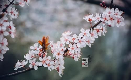 惊蛰将至，少食一味，多吃二果，预防三种疾病，年年健康少生病