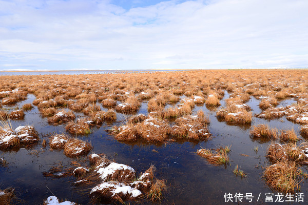 若尔盖花湖不飞花，却是中国最美的高寒湿地