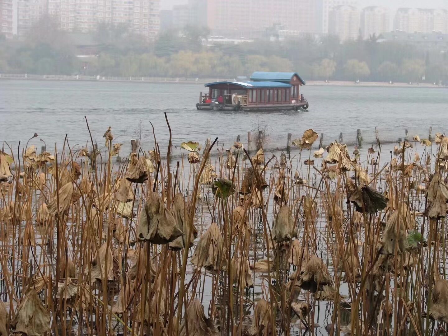 宋国人@国学成语故事（48）大国也有大国的难处之鞭长莫及