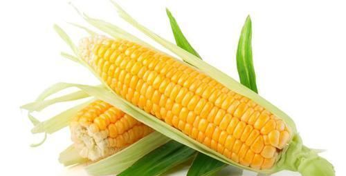 玉米可以升血糖还是降血糖,食用玉米的3个错误别犯,一起来看看