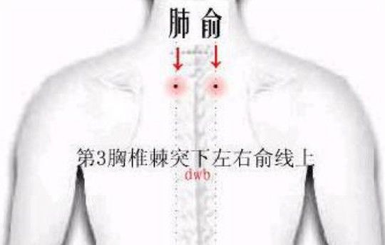 中医|喉咙痰多，还老是咳不干净？中医教你正确排痰