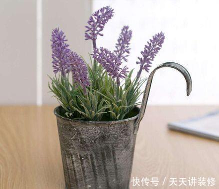 此4款花卉，开花又美又香，花量超多，好看又好养