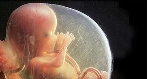 b超|孕检B超四维时胎儿害羞不动,孕妈别着急,8个技巧让孩子活跃配合你