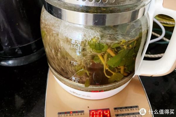 马齿笕|夏天的宝,农民的草马齿苋