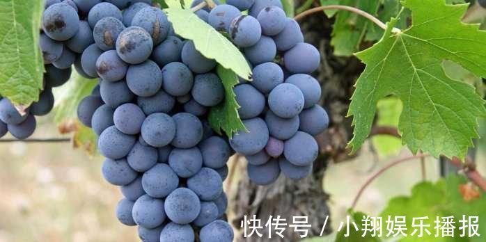 雌激素|女性一旦过了40岁, 6种食物一定要常吃, 补充雌激素, 更有女人味