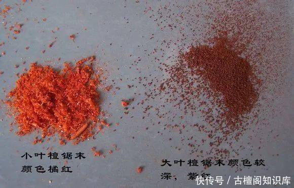 到底|“小叶紫檀”与“大叶紫檀”到底有什么区别?