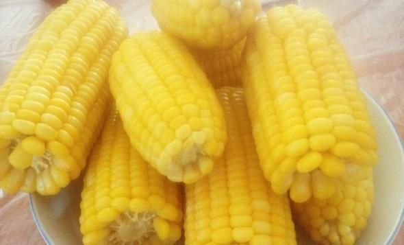 玉米和此物一起煮,睡眠好了,皱纹淡了,女人不想满脸皱纹,试试