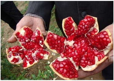 黑发|一头黑发不是梦。买两样水果加下工,白发怕它不再露头