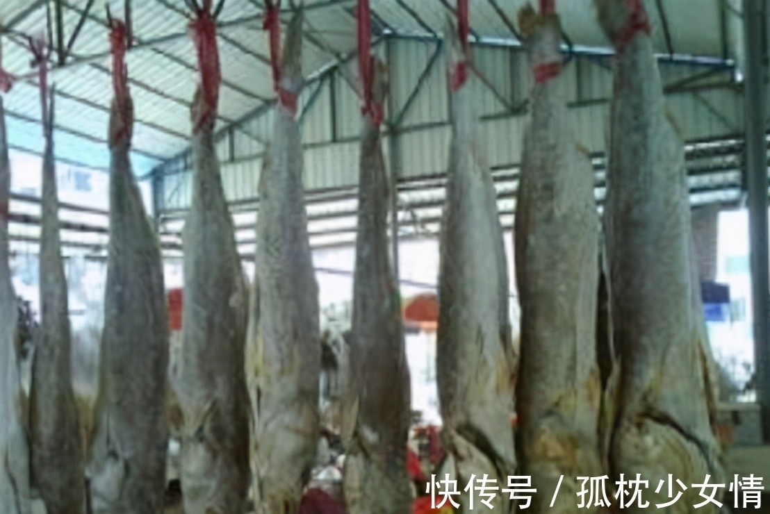 肉毒|5类鱼没营养,对人体有害,但很多人爱吃