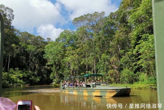 自然景观|热带雨林的难忘之旅