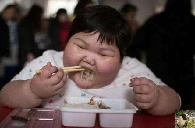 孩子|两个同龄宝宝相遇,体型差距让宝妈难以置信,网友完全是S和L