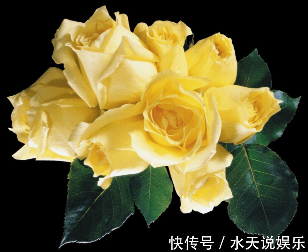 招财进宝“黄金花”,金色的外表,比玫瑰靓,比桂花香