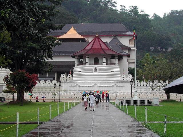 斯里兰卡最|性价比最高的旅游国家，月薪三千就可以旅游！