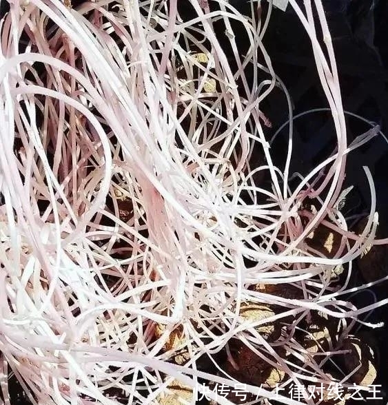 土豆|土豆发芽有多恐怖!26张照片告诉你,它才是这个星球最神奇生物