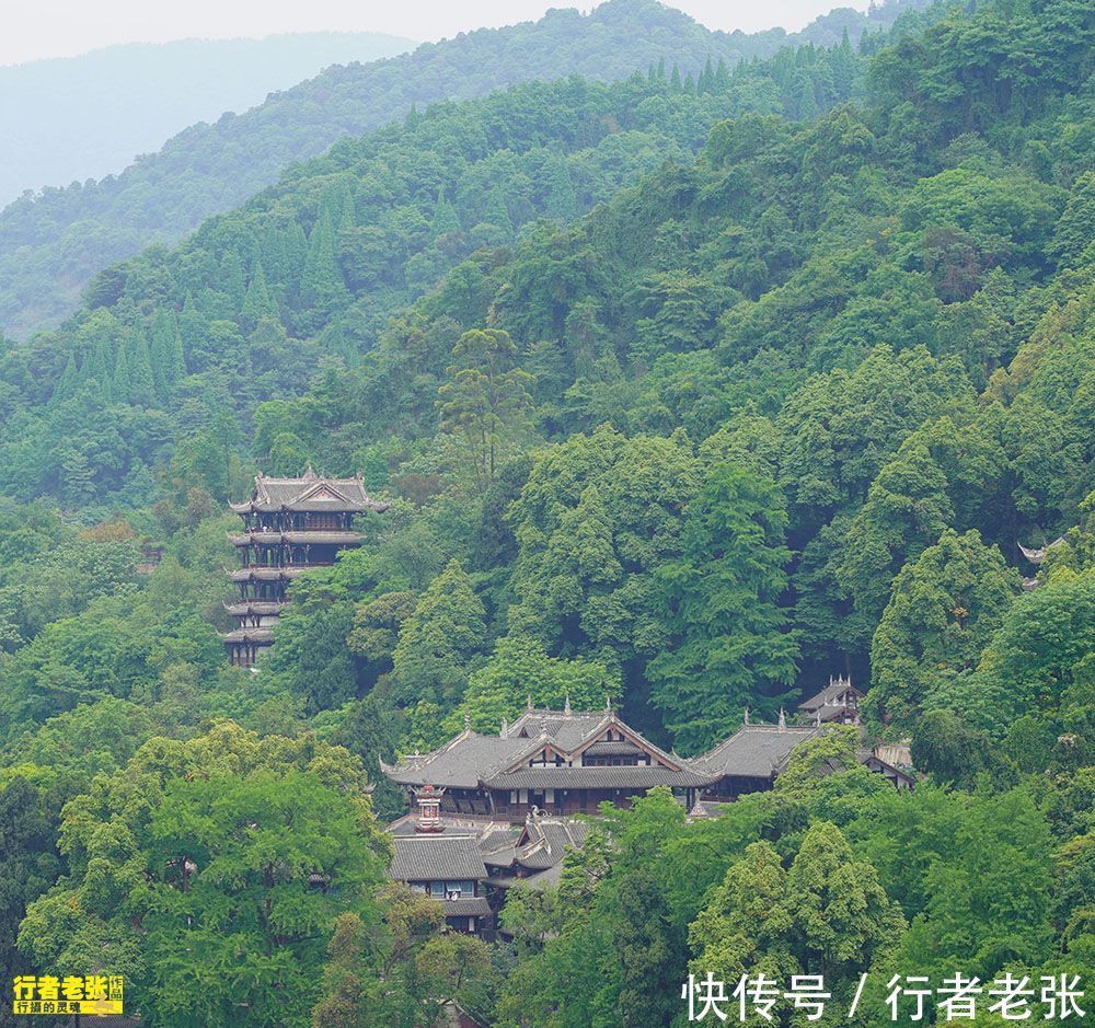 都江堰|端午小长假去哪儿旅游？青城山避暑，看双料世界遗产都江堰