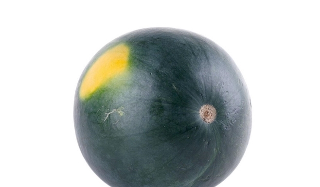 曾经风靡一时的“黑皮西瓜”,为何现在很少见了?原因让人意外