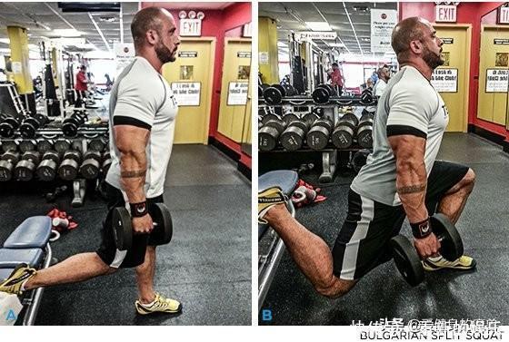 矢状面|你的腿还不够饱满，是因为没有把这些动作做好