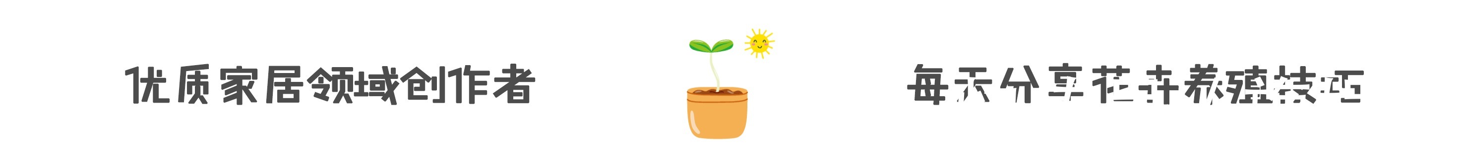 君子兰肥料给劲长得旺，这几种好肥料不能少，加一点就蹭蹭爆盆