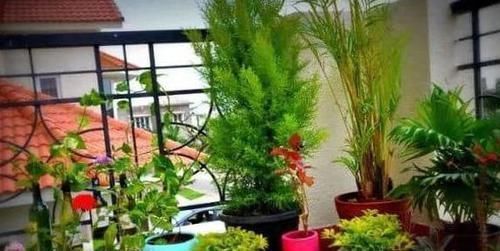 养花种草用土得靠谱给它这样杀菌消毒,虫卵、细菌被消灭干净