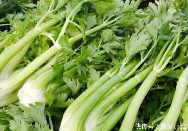 膳食纤维|女人不想大肚子,多吃4种“零嘴”,减脂瘦身,效果比“跑步”好