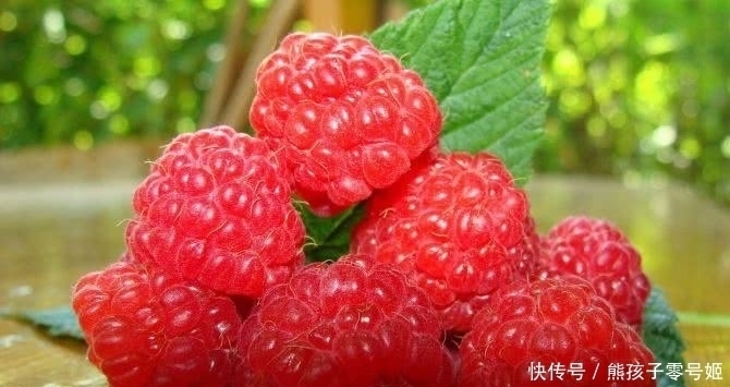 蛋黄果|这三种野果，有的人吃到吐，有的人花钱也买不来，见到就算你幸运