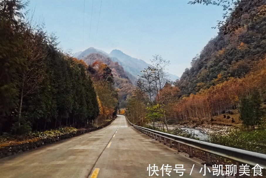 彩林|平武有座山红透了！山上这条云端上的彩林公路秋色如画