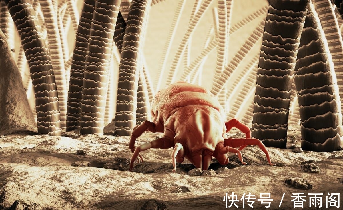 刚打扫完室内卫生，就又出现了尘絮，这些灰尘是怎么凭空出现的？