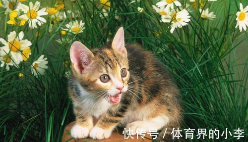 |幽默笑话:姐姐刚到公司就知道跟她们女主管靠近乎。这天下班回来