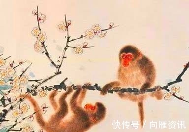 贵人|三观正，明事理的3属相，贵人不离，周围无小人，赚钱效率高