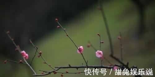 杜鹃$秦观的这首《踏莎行》哀婉而凄美，可以说是他被贬生涯的一个缩影