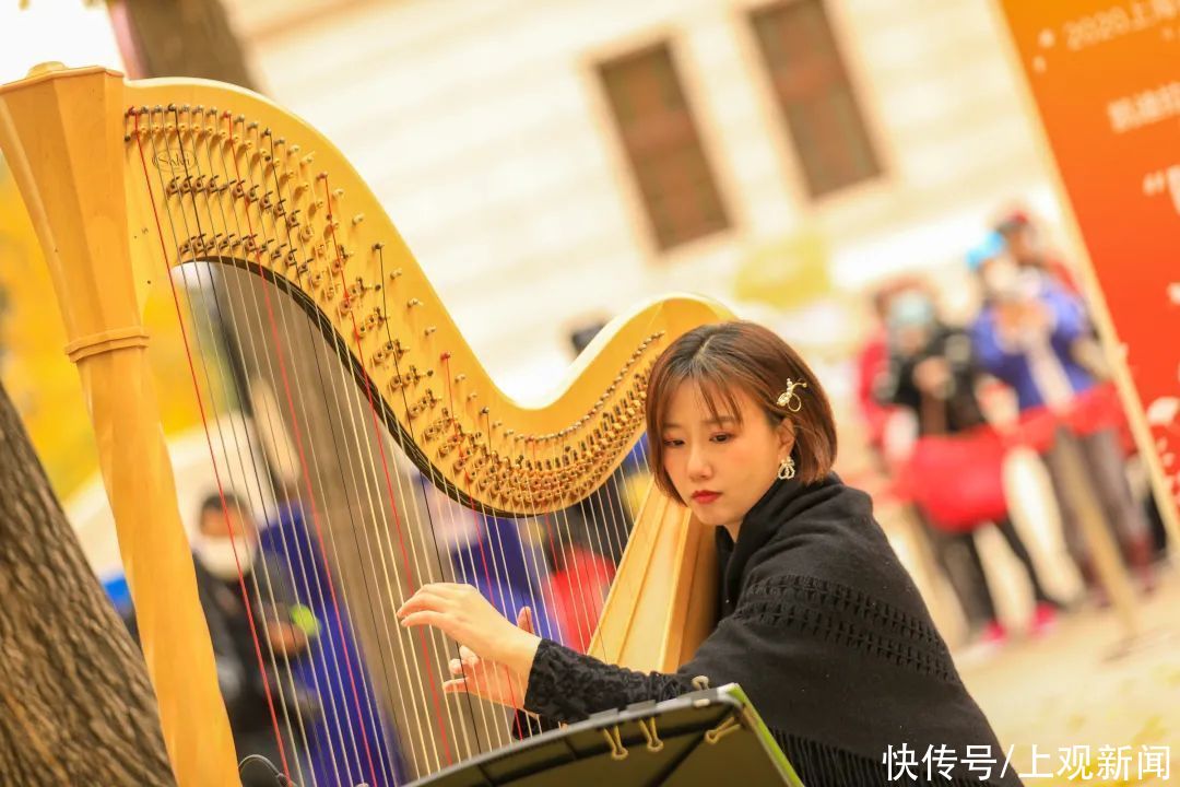  银杏|超唯美！一起在冬日听一场“银杏音乐会”