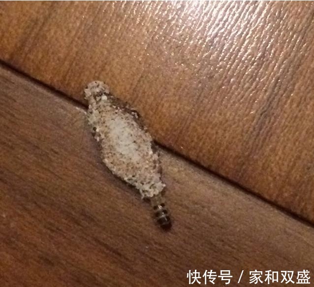 装修|现在家庭装修地板用什么地板好？家庭装修地板如何选择？