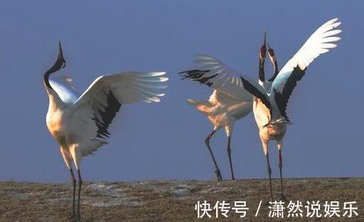 中老年人|过了60,自私的父母最伟大!此文很有意义,希望中老年人认真读读