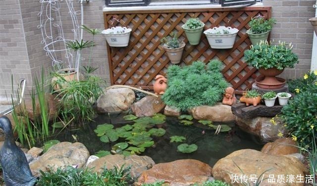 庭院里除了养花种草,还可以造个鱼池,每天逗鱼品茶,像世外桃源!