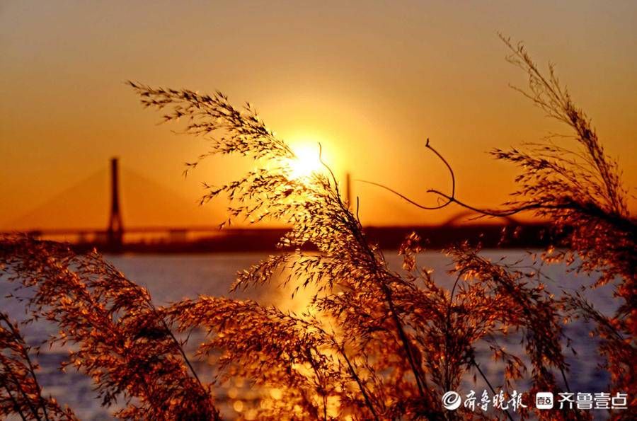 济南#2月5日最佳情报｜大年初五赏民俗寻年味！恭喜壹粉喜提新春红包