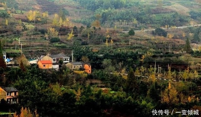 有400年历史的古村,藏在四明山深处,浙东第一古树村！