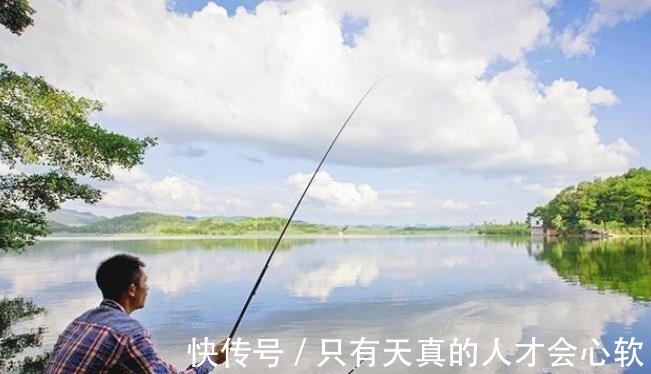 夏季|夏季雨天难钓鱼？没料到我只用了3招，鲫鲤鱼上个不停