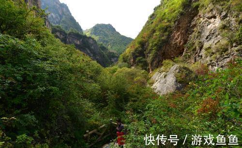 避暑胜地|定西一冷门山区，植被茂密为避暑胜地，名气小游客少形成幽静空间