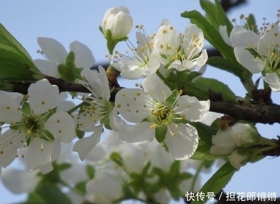 摩羯座|十二星座女生谁最漂亮?颜值排行榜,她似乎是上帝的宠儿